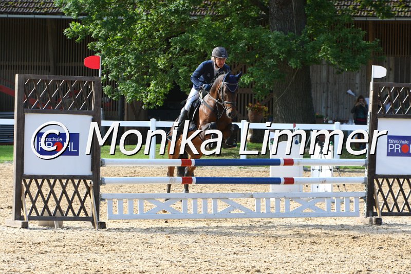 006M6434_Hartmut_Springpferde A.JPG